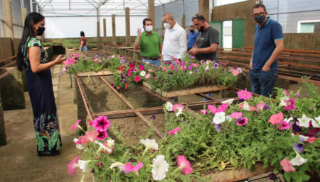 Hortolândia deve ter projeto paisagístico de jardins em pontos estratégicos