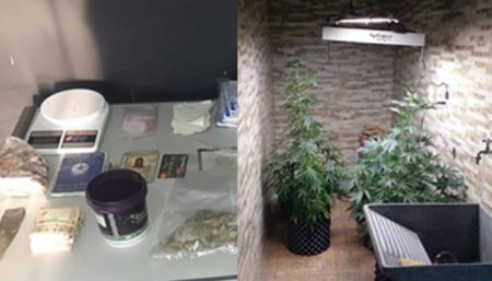 Policia apreende pés de maconha em residência no Nova Europa