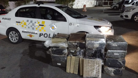 Quase meia tonelada de maconha é apreendida em Campinas