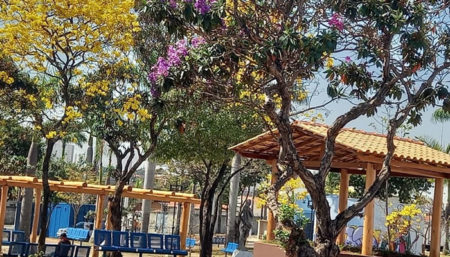 Primavera começa esta tarde, sob efeito da La Niña