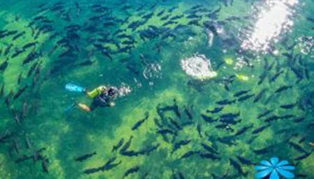 Em Bonito, Nascente Azul ganhará museu subaquático