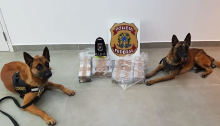 PF e Guarda Civil de Campinas apreendem cocaína no Aeroporto Internacional de Viracopos