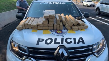 Casal é detido com 30 quilos de maconha em Campinas