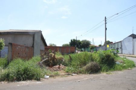 Hortolândia pretende fiscalizar e multar terrenos com mato alto