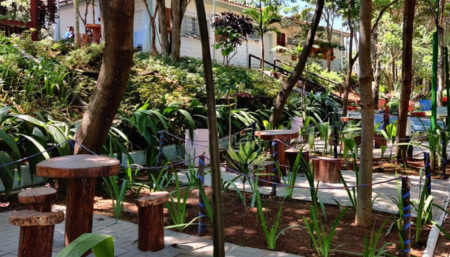 Parques de Hortolândia servem como inspirações artísticas para pintores e fotógrafos
