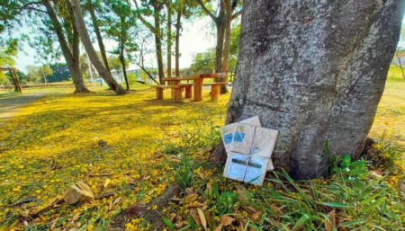 Biblioteca Municipal de Hortolândia retorna Projeto “Achei um Livro”