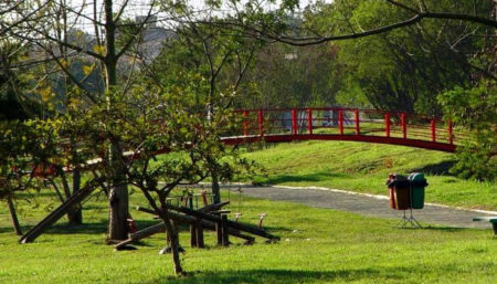 Parque Chico Mendes recebe “Movimento Rosa” neste domingo (24)