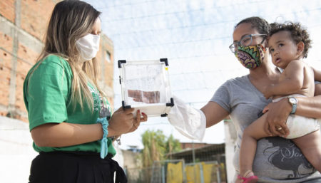 Controle biológico do mosquito da dengue com Aedes do Bem™ começa a ser usado por moradores de Campinas