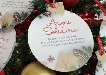 Parque D. Pedro Shopping ganha Árvore de Natal Solidária