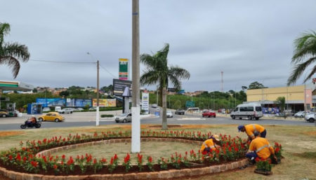 Novo paisagismo embeleza “Balão do Migrante”, próximo ao Hortofácil