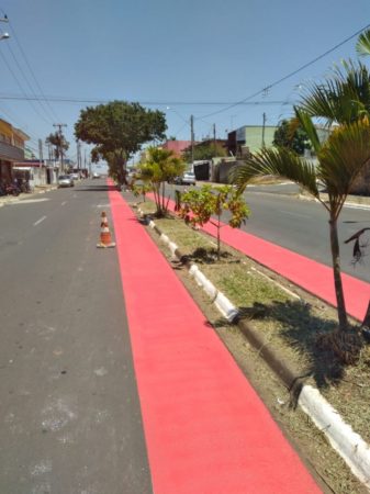 Ciclovia da Av. Thereza Ana recebe pintura e sinalização
