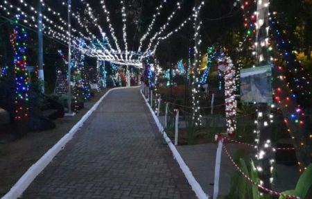 Pq. Irmã Dorothy Stang terá neve artificial na noite desta quinta-feira (23/12)