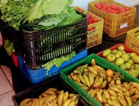 Prefeitura de Hortolândia sanciona Lei Municipal de Segurança Alimentar