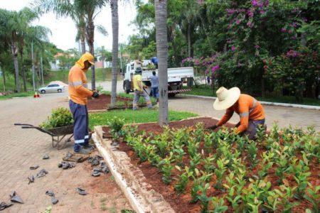 Parque Dorothy recebe plantio de mudas de flores para o Natal Sustentável