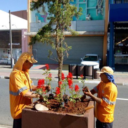Prefeitura de Hortolândia solicita para que população conserve mudas de flores plantadas na cidade