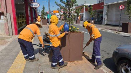 Prefeitura de Hortolândia solicita para que população conserve mudas de flores plantadas na cidade