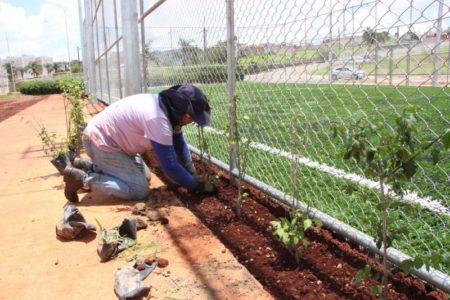 Prefeitura de Hortolândia realiza ações de paisagismo na área em ampliação do Pq. Lago da Fé