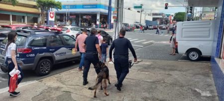 Cães da Guarda Municipal de Hortolândia reforçam patrulhamento em regiões de comércio