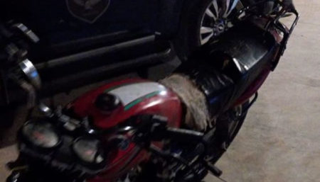 Romu prende moto por falta de documentos e condutor sem CNH na praça do Nova América