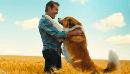 Filme Tela Quente: Juntos para Sempre
