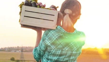 Crédito rural e cooperativismo estão entre os temas que serão abordados pela Cocre na Coplacampo 2022
