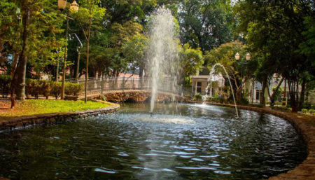 Circuito das Águas Paulista encanta com fauna diversificada