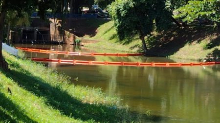 Lagoa do Observatório Parque Escola recebe barreiras de contenção para proteger água e fauna aquática
