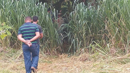 Corpo esquartejado é encontrado no Jardim São Bento