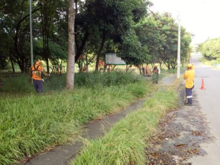 Lagoa do Jardim São Bento recebe limpeza e poda do mato