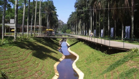 São Paulo tem mais de 500 rios subterrâneos, você sabia?