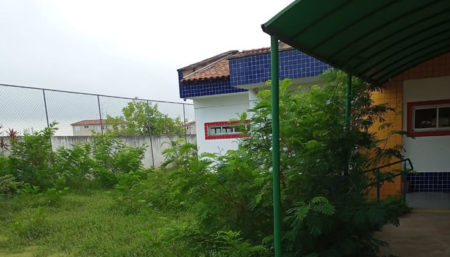 Mãe reclama de mato na Emei Estrela. Prefeitura fala de poda na próxima semana
