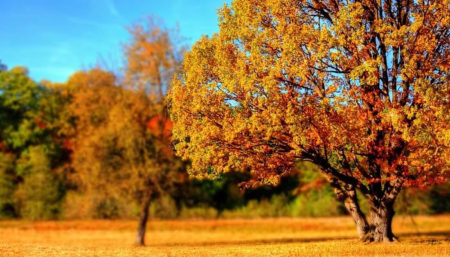 Previsão de declínio nas temperaturas com a chegada do Outono