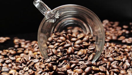 Café tem previsão de alta nos preços do grão