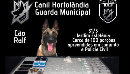 Canil da GM Hortolândia já começa a dar resultados