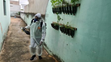 Hortolândia já supera mais de 110 casos confirmados de Dengue em 2022