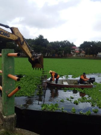 Lagoa do Jardim Amanda recebe nova ação para retirada de plantas aguapés