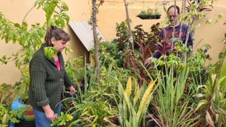 Idosa dá dicas para evitar proliferação do Aedes aegypti em vasos de plantas