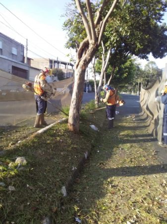 Prefeitura inicia semana com reforço da poda do mato e limpeza em espaços públicos de Hortolândia