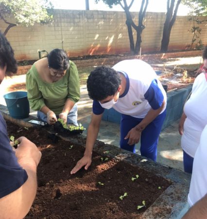 Projeto Horta e Jardinagem é ferramenta pedagógica para estudantes da Educação Especial em Hortolândia