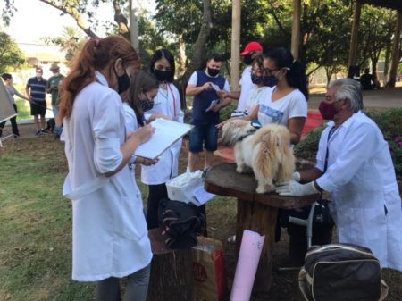 Ação HortoPet oferecerá banho para cães no evento “Viva Mais Na Cidade”, neste sábado (07/05)