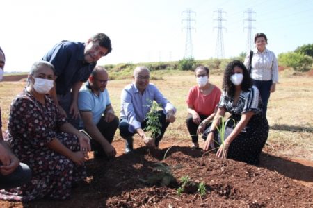 Hortolândia ganha duas hortas comunitárias