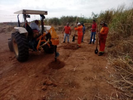 Prefeitura planta mudas de árvores em área de preservação na Vila Verde