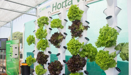 Hortitec abre as portas nesta quarta e deve atrair 30 mil visitantes