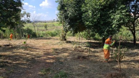 Prefeitura planta 2,6 mil mudas de árvores em área verde do Jd Terras de Santo Antonio