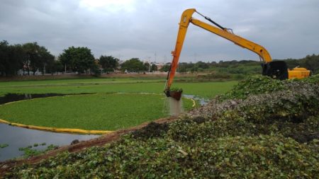 Nova etapa de remoção de plantas aguapés beneficia mais uma lagoa no Jd, Amanda