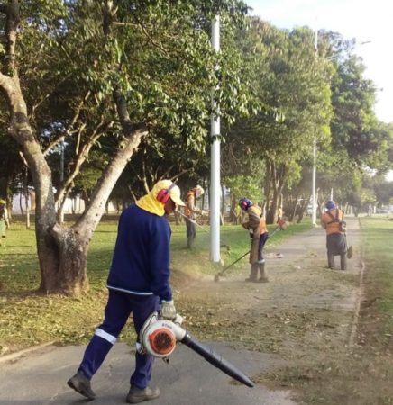 Mutirão de poda do mato e limpeza é intensificado pela Prefeitura em áreas públicas de diferentes regiões