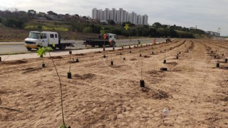 Novo viário em Hortolândia ganhará milhares de mudas de árvores