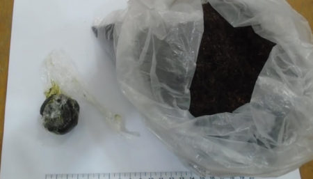 Maconha é encontrada em mercadoria enviada para o CDP de Hortolândia