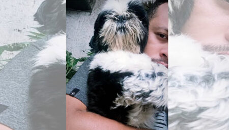 Procura-se por animal perdido no bairro Recanto do sol