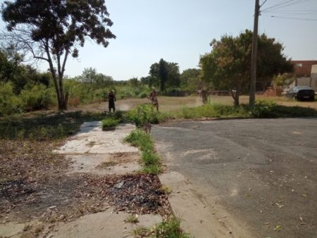 Prefeitura intensifica poda do mato e limpeza em diferentes espaços públicos